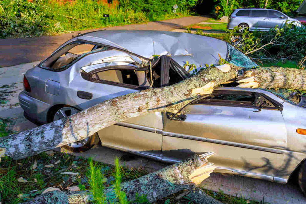 A car accident caused by a fallen tree, highlighting why most accidents occur close to home due to familiarity, frequent driving, and less cautious behavior.